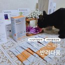 복실헤어 | 고양이 필수 영양제 반려다움 하나로 장 건강과 헤어볼 케어 끝!