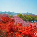 콩쥐팥쥐 관광 한옥리조트 | [전라북도 완주군] 콩쥐팥쥐 관광 한옥리조트