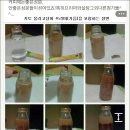 말자커피 Daum카페