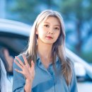 다미 이미지