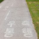 성북교 우측 | 신천둔치 산책길 천천히 걸어봤어요 침산교~신천교