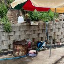 햇솔오토캠핑장 이미지