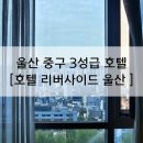 울산공항 화장실 | 첫 울산 여행 내돈내산 태화강뷰 호텔 진짜 후기/스위트더블 [호텔리버사이드 울산]