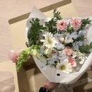 꽃 | 플로럴 디자이너의 내돈내산 꾸까 꽃 정기구독 후기!