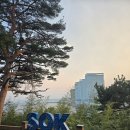 세븐일레븐 속초동진리조트점 | 속초 롯데리조트 콘도 패밀리 트윈 투숙기: 환상적인 오션뷰와 조식, 일출 피트니스까지