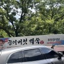 소백산약국 | 블챌 두 번째 일상글 대충 7월 1주차 썸머르 (여름 백숙, 제천 나들이, 사의찬미 뮤지컬 솔직 후기)