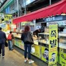 카멜리아 이미지