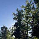 이글이글 골프연습장 이미지