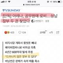 [단독] 아레나, 공무원에 로비…상납장부 두 권 찾았다 이미지