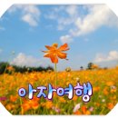 여귀산 | 진도 여행&amp; 여귀산 돌탑길, 신비의바닷길, 진도 운림 산방