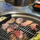 통통돼지부속