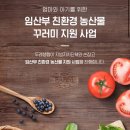 임산부 친환경 농산물 꾸러미 지원사업 후기