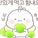 강릉발효커피 이미지