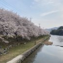 비아119안전센터 | 여행 초보를 위한 완벽 가이드 여행 준비, 꿀팁