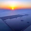 동부부산컨테이너터미널 이미지