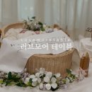 러브모어테이블에서 해피유어데이로 50일셀프촬영 한 후기