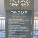 제주 시내 호텔 추천! 가성비 시리우스 호텔 방문후기(feat. 수영장)