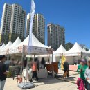 동강일품국수 | 2026 영월 단종문화제 전야제 후기 (영월 맛집, 이찬원)