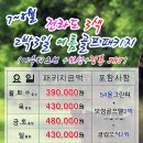 JNJ기획