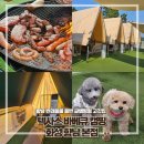 별똥인형뽑기 향남점 | [화성/향남]텍사스 바베큐 캠핑 화성향남본점:애견 동반 글램핑장/텐트 추천/아기랑 오기 좋은 곳/향남...