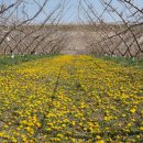 가야농원 이미지