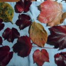 동북유치원 이미지