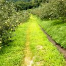 박달재농원 이미지