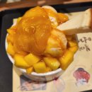 설빙 경산점