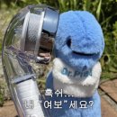 자랑케이크 이미지
