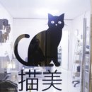 온천장고양이 이미지