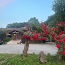 텃골농장 이미지