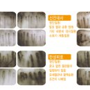 늘푸른한의원 이미지