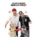 댕댕슈퍼