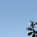 구월공방 이미지