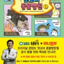 애니멀랜드 이미지