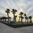 곽지몬스터캠핑 이미지