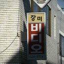 장미비디오 이미지