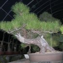 유원농장 이미지