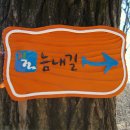 현일초교도로 이미지