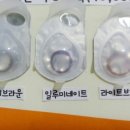 시드니안경 이미지