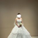 샐리웨딩천안 | 천안 샐리웨딩 드레스 투어 후기 - 피팅룸, 드레스 피팅 (드레스 사진O, 계약 완료 ♥)