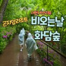 꽃씨뿌리는마음 | 곤지암 화담숲 비오는날 방문 가능할까? 가족들과 특별했던 하루