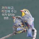 금송약국 이미지