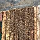 호운농장 이미지