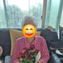 삼덕노인복지센터 | 평택 방문요양센터 어르신 맞춤 방문요양, 집에서 편안하게! 세교노인복지센터 솔직 체험 후기