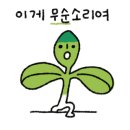 선화네공작소 네이버블로그