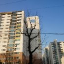 도그앤미 | 후기# 안산애견카페/상록수애견카페/본오동애견카페/도그앤미/DOG&amp;ME