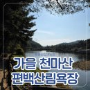 편백산림욕장 공중화장실 | 곳/울산 북구] 피톤치드 힐링 명소, 천마산 편백산림욕장! (ft. 만석골 저수지) 삼산1번가부동산 가을...
