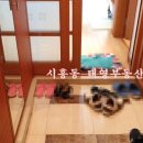 태영금동 이미지