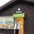 명소추천: 성이시돌목장 테쉬폰 포토존 입장료 우유부단 카페 밀크티 후기 (흐린날 1월 방문, 애견동반)